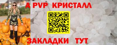 шишки Моздок