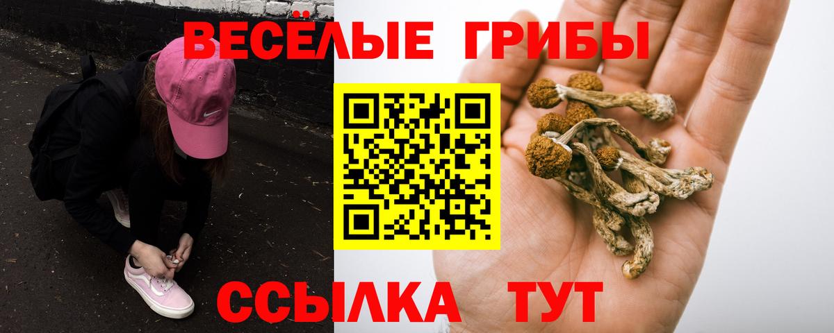 Галлюциногенные грибы Magic Shrooms  Вход с VPN  Свободный 